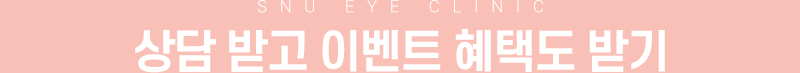 타이틀